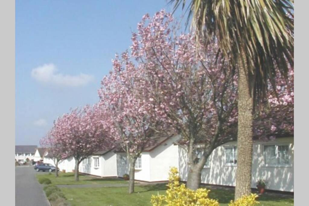 Вілла Perfect For The Family And Beaches - Gower Cwtch Свонсі Екстер'єр фото